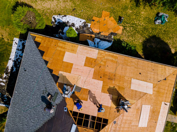 Roof Gutter Cleaning in Northchase, NC